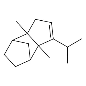Petasitene structure