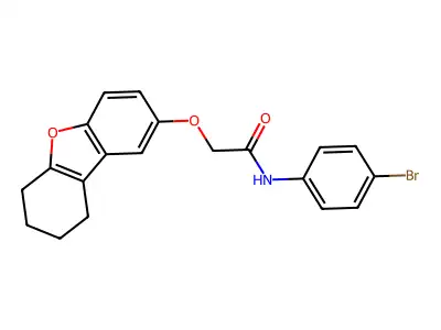 N-(4-bromophenyl)-2-(6,7,8,9-tetrahydrodibenzo[b,d]furan-2-yloxy)acetamide structure
