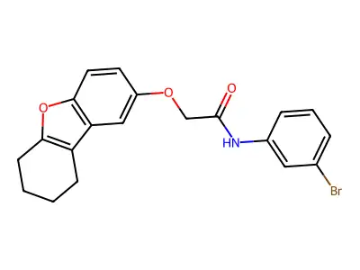 N-(3-bromophenyl)-2-(6,7,8,9-tetrahydrodibenzofuran-2-yloxy)acetamide structure