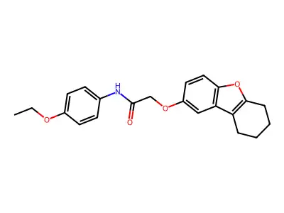 N-(4-ethoxyphenyl)-2-(6,7,8,9-tetrahydrodibenzofuran-2-yloxy)acetamide structure