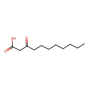3-Oxoundecanoic acid structure