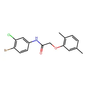 N-(4-bromo-3-chlorophenyl)-2-(2,5-dimethylphenoxy)acetamide structure