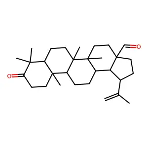 Betulonal structure