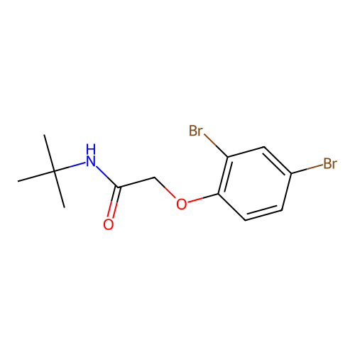N-叔丁基-2-(2,4-二溴苯氧基)乙酰胺 structure