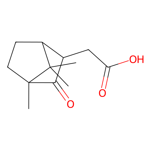 Campheressig structure