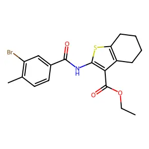 ethyl 2-[(3-bromo-4-methylbenzoyl)amino]-4,5,6,7-tetrahydro-1-benzothiophene-3-carboxylate structure