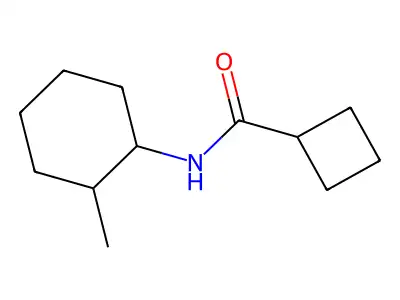 N-(2-methylcyclohexyl)cyclobutanecarboxamide structure