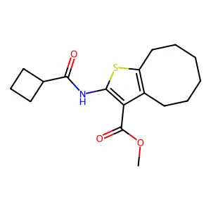 methyl 2-(cyclobutanecarbonylamino)-4,5,6,7,8,9-hexahydrocycloocta[b]thiophene-3-carboxylate structure