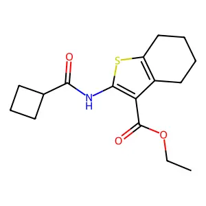 ethyl 2-[(cyclobutylcarbonyl)amino]-4,5,6,7-tetrahydro-1-benzothiophene-3-carboxylate structure