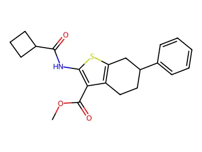 methyl 2-[(cyclobutylcarbonyl)amino]-6-phenyl-4,5,6,7-tetrahydro-1-benzothiophene-3-carboxylate structure