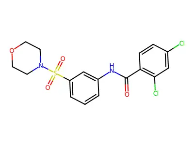2,4-dichloro-N-(3-morpholin-4-ylsulfonylphenyl)benzamide structure