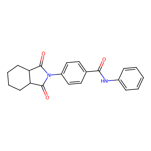 4-(1,3-dioxooctahydro-2H-isoindol-2-yl)-N-phenylbenzamide structure
