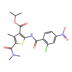 isopropyl 2-({2-chloro-4-nitrobenzoyl}amino)-5-[(dimethylamino)carbonyl]-4-methylthiophene-3-carboxylate structure