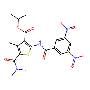 isopropyl 2-({3,5-bisnitrobenzoyl}amino)-5-[(dimethylamino)carbonyl]-4-methylthiophene-3-carboxylate structure