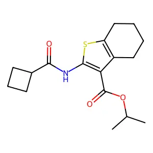 propan-2-yl 2-(cyclobutanecarbonylamino)-4,5,6,7-tetrahydro-1-benzothiophene-3-carboxylate structure