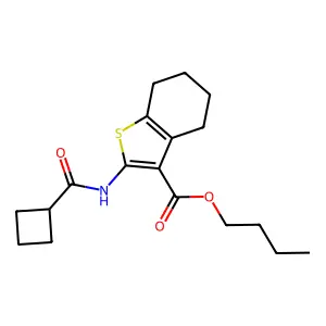 butyl 2-[(cyclobutylcarbonyl)amino]-4,5,6,7-tetrahydro-1-benzothiophene-3-carboxylate structure