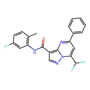 7-(difluoromethyl)-N-(5-fluoro-2-methylphenyl)-5-phenylpyrazolo[1,5-a]pyrimidine-3-carboxamide structure