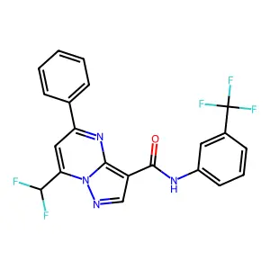7-(difluoromethyl)-5-phenyl-N-[3-(trifluoromethyl)phenyl]pyrazolo[1,5-a]pyrimidine-3-carboxamide structure