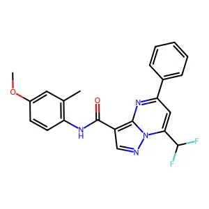 7-(difluoromethyl)-N-(4-methoxy-2-methylphenyl)-5-phenylpyrazolo[1,5-a]pyrimidine-3-carboxamide structure
