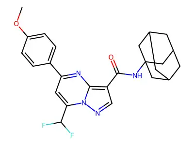 N-(1-adamantyl)-7-(difluoromethyl)-5-(4-methoxyphenyl)pyrazolo[1,5-a]pyrimidine-3-carboxamide structure