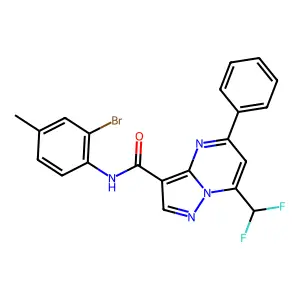 N-(2-bromo-4-methylphenyl)-7-(difluoromethyl)-5-phenylpyrazolo[1,5-a]pyrimidine-3-carboxamide structure