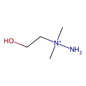 N-氨基-N,N-二甲基氨基乙醇 structure