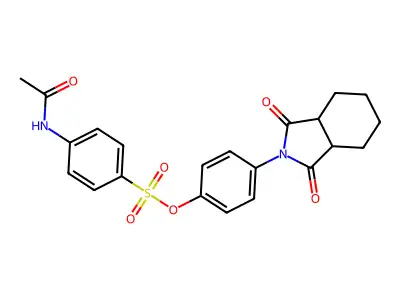 4-(1,3-dioxooctahydro-2H-isoindol-2-yl)phenyl 4-(acetylamino)benzenesulfonate structure