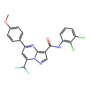 N-(2,3-dichlorophenyl)-7-(difluoromethyl)-5-(4-methoxyphenyl)pyrazolo[1,5-a]pyrimidine-3-carboxamide structure