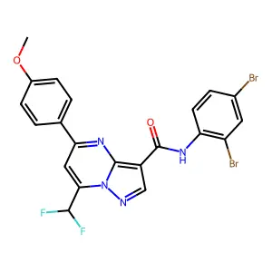 N-(2,4-dibromophenyl)-7-(difluoromethyl)-5-(4-methoxyphenyl)pyrazolo[1,5-a]pyrimidine-3-carboxamide structure