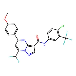 N-[4-chloro-3-(trifluoromethyl)phenyl]-7-(difluoromethyl)-5-(4-methoxyphenyl)pyrazolo[1,5-a]pyrimidine-3-carboxamide structure