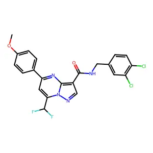 N-(3,4-dichlorobenzyl)-7-(difluoromethyl)-5-(4-methoxyphenyl)pyrazolo[1,5-a]pyrimidine-3-carboxamide structure