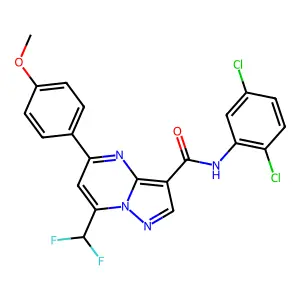 N-(2,5-dichlorophenyl)-7-(difluoromethyl)-5-(4-methoxyphenyl)pyrazolo[1,5-a]pyrimidine-3-carboxamide structure