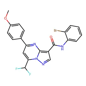 N-(2-bromophenyl)-7-(difluoromethyl)-5-(4-methoxyphenyl)pyrazolo[1,5-a]pyrimidine-3-carboxamide structure