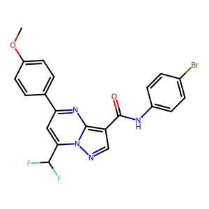 N-(4-bromophenyl)-7-(difluoromethyl)-5-(4-methoxyphenyl)pyrazolo[1,5-a]pyrimidine-3-carboxamide structure