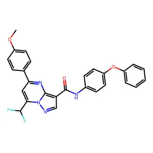 7-(difluoromethyl)-5-(4-methoxyphenyl)-N-(4-phenoxyphenyl)pyrazolo[1,5-a]pyrimidine-3-carboxamide structure