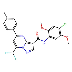 N-(4-chloro-2,5-dimethoxyphenyl)-7-(difluoromethyl)-5-(4-methylphenyl)pyrazolo[1,5-a]pyrimidine-3-carboxamide structure