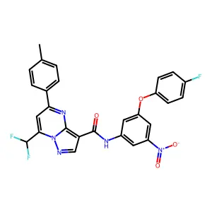 7-(difluoromethyl)-N-[3-(4-fluorophenoxy)-5-nitrophenyl]-5-(4-methylphenyl)pyrazolo[1,5-a]pyrimidine-3-carboxamide structure