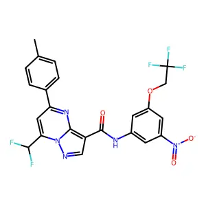 7-(difluoromethyl)-5-(4-methylphenyl)-N-[3-nitro-5-(2,2,2-trifluoroethoxy)phenyl]pyrazolo[1,5-a]pyrimidine-3-carboxamide structure