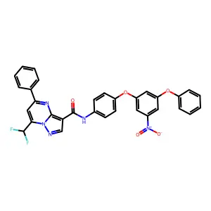 7-(difluoromethyl)-N-[4-(3-nitro-5-phenoxyphenoxy)phenyl]-5-phenylpyrazolo[1,5-a]pyrimidine-3-carboxamide structure