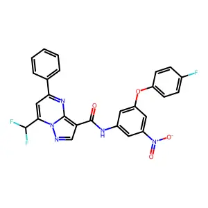 7-(difluoromethyl)-N-[3-(4-fluorophenoxy)-5-nitrophenyl]-5-phenylpyrazolo[1,5-a]pyrimidine-3-carboxamide structure