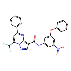 7-(difluoromethyl)-N-(3-nitro-5-phenoxyphenyl)-5-phenylpyrazolo[1,5-a]pyrimidine-3-carboxamide structure