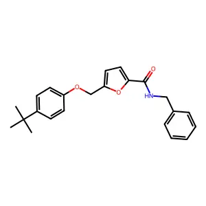 N-benzyl-5-[(4-tert-butylphenoxy)methyl]furan-2-carboxamide structure