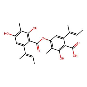 Agonodepside B structure