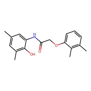 2-(2,3-dimethylphenoxy)-N-(2-hydroxy-3,5-dimethylphenyl)acetamide structure