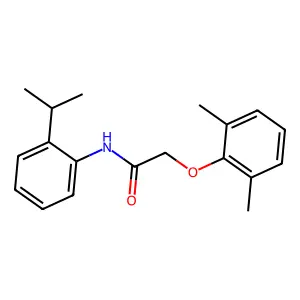 2-(2,6-dimethylphenoxy)-N-[2-(propan-2-yl)phenyl]acetamide structure