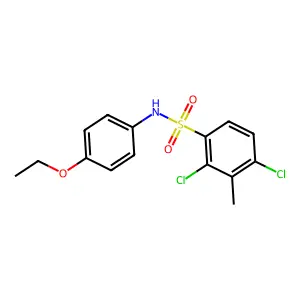 2,4-dichloro-N-(4-ethoxyphenyl)-3-methylbenzenesulfonamide structure