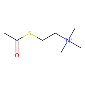 Acetylthiocholine structure