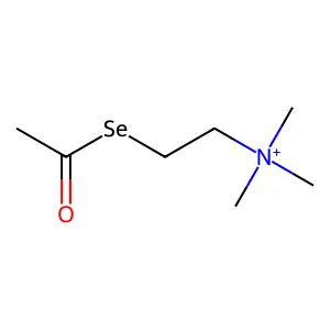 Acetylselenocholine structure