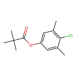 4-Chloro-3,5-dimethylphenyl pivalate structure