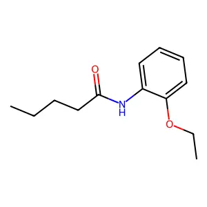 N-(2-ethoxyphenyl)pentanamide structure